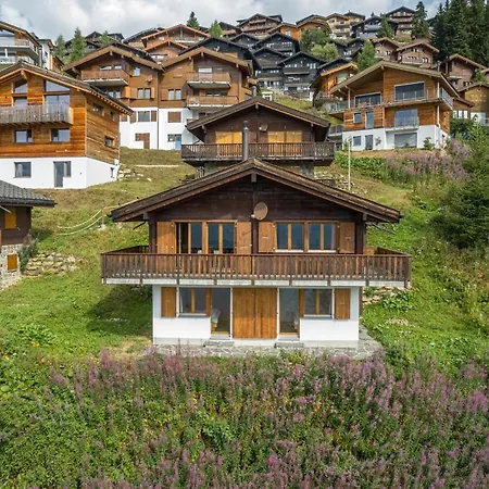 Uva * Bettmeralp